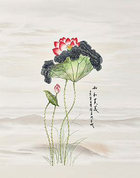 绽放未来-1TC